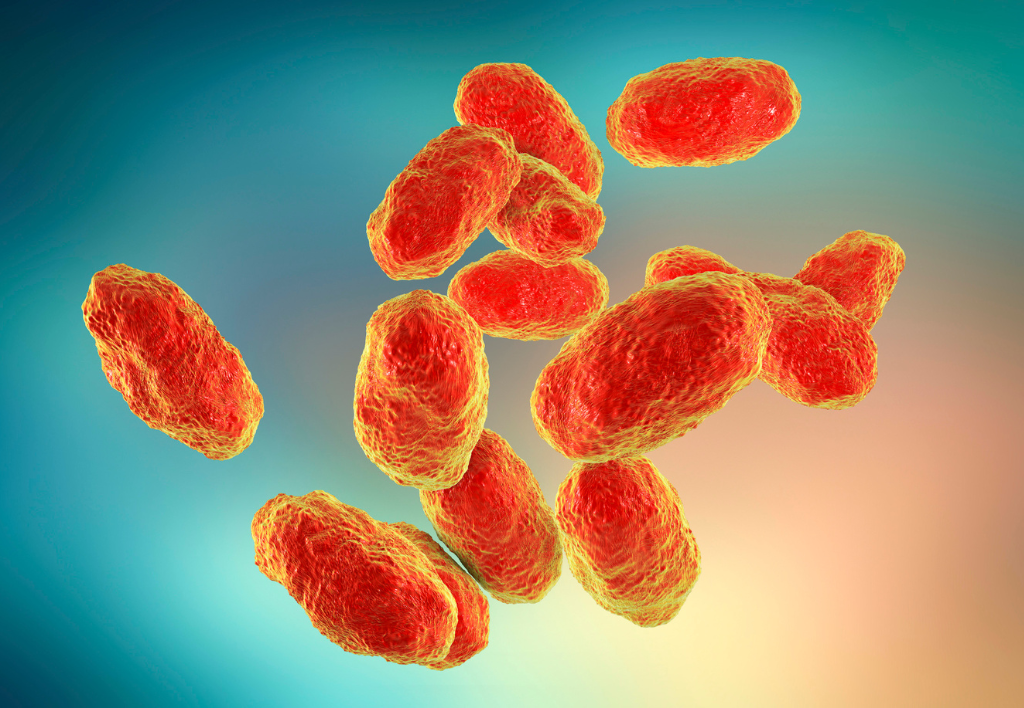 Гемофільна інфекція типу b (ХІБ/Hib) - Статті - Полтавський обласний ...